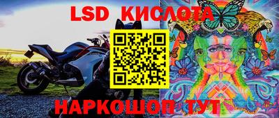 СК Кандалакша