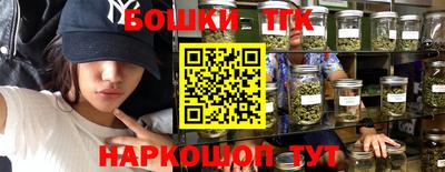 СК Кандалакша