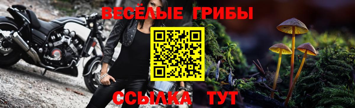 Псилоцибиновые грибы Psilocybe Валуйки