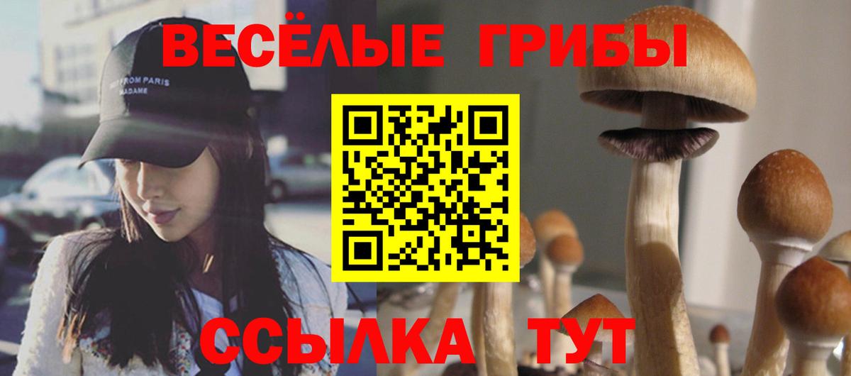 Псилоцибиновые грибы Psilocybine cubensis  Вход с VPN  Валуйки 